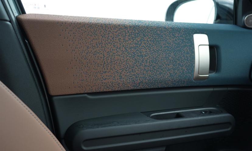 Mini Countryman Door