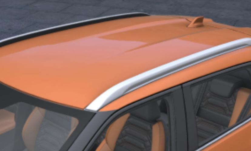 Nissan Magnite Roof