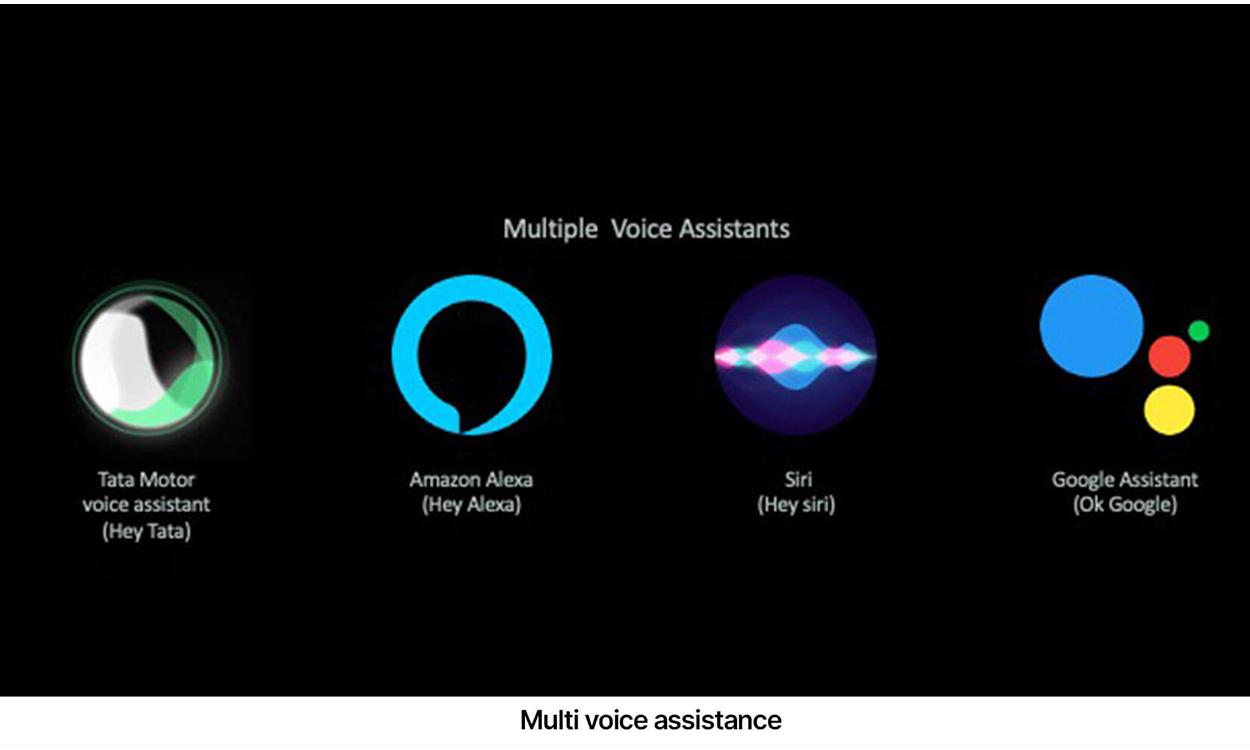 Tata nexon ev assist