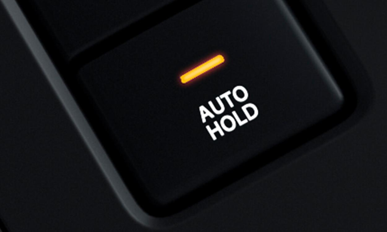 Tata nexon ev auto hold