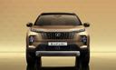 Tata safari Colored Grille