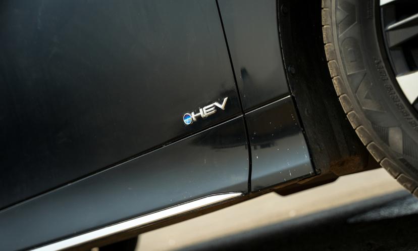 Toyota Vellfire Door