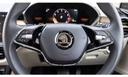 Skoda Slavia Interior Steering Wheel 5