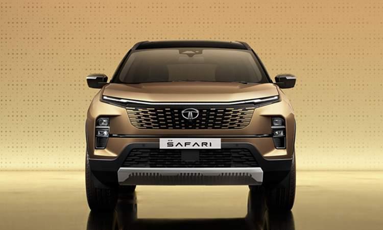Tata safari Colored Grille