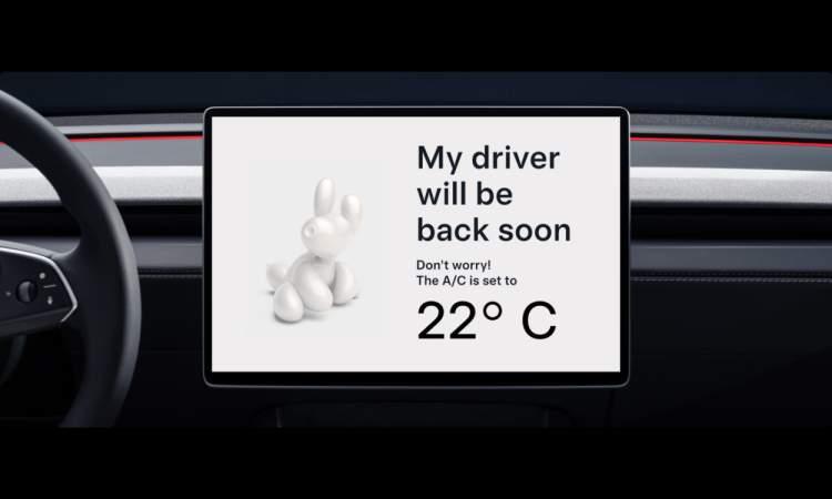 Model Y Comfort and Safety Modes