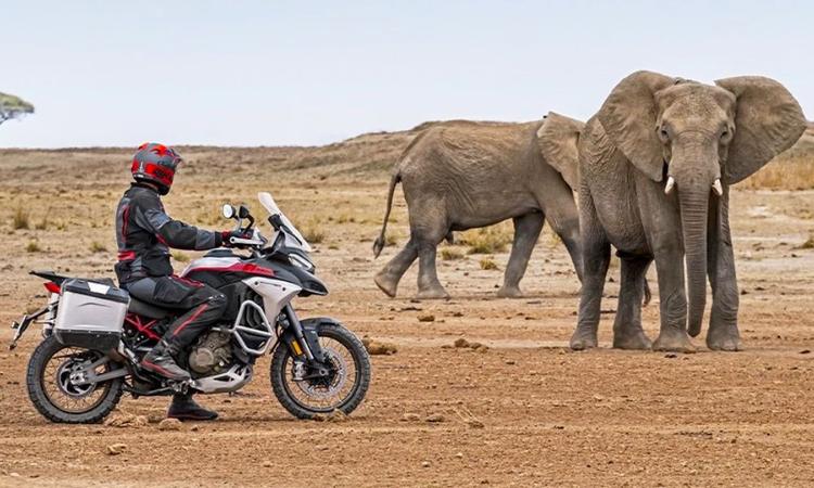 Ducati Multistrada V4 Rally Launched In India; Prices Start At Rs 29.72 Lakh मल्टीस्ट्राडा परिवार में नई मोटरसाइकिल को दो वैरिएंट में पेश किया गया है, जिसमें स्पोक व्हील और ब्लैक चैनल के साथ डुकाटी रेड के लिए कीमतें ₹29.72 लाख और स्पोक व्हील और ब्लैक लाइवरी में ब्लैक चैनल के साथ ब्रश एल्यूमीनियम और मैट ब्लैक के लिए ₹30.03 लाख से शुरू होती हैं.