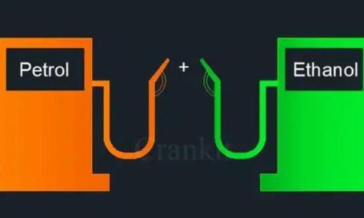 Maruti Suzuki Working On Compressed Bio-Gas (CBG) Powered Engines And E85 Flex Fuel Engines मारुति सुजुकी कम्प्रेस्ड बायो-गैस (सीबीजी) से चलने वाले इंजन और ई85 फ्लेक्स-फ्यूल इंजन बनाने पर काम कर रही है, हालांकि, कंपनी ने इसकी कोई समयरेखा नहीं बताई है.