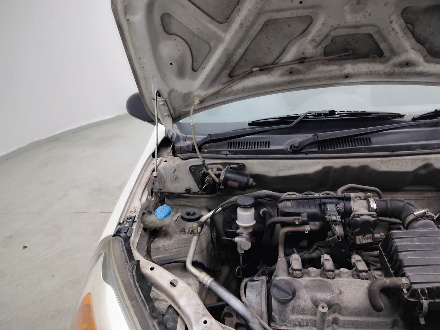 Alto 800 image 31 Alto 800 image 31