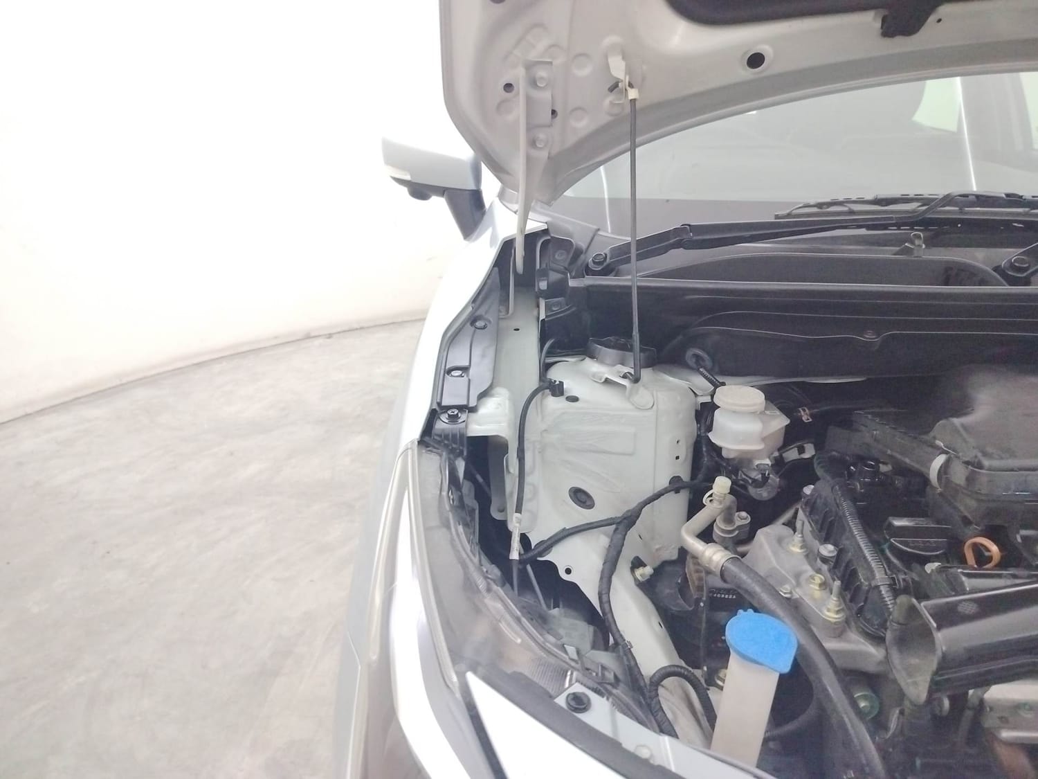 Baleno image 31 Baleno image 31