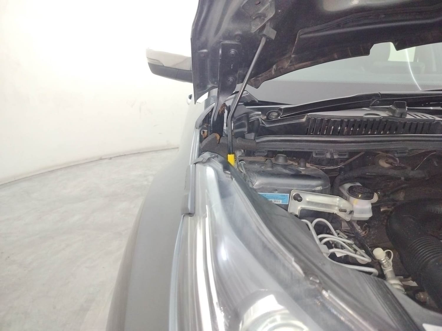 Nexon image 31 Nexon image 31