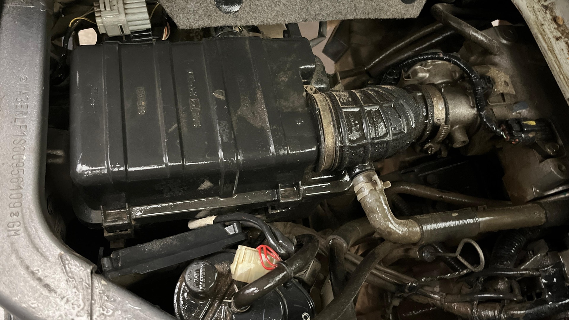 View 2021 Maruti Suzuki 1000 Base Variant Image 3 Used 2021 Maruti Suzuki 1000 Base Variant Image 3