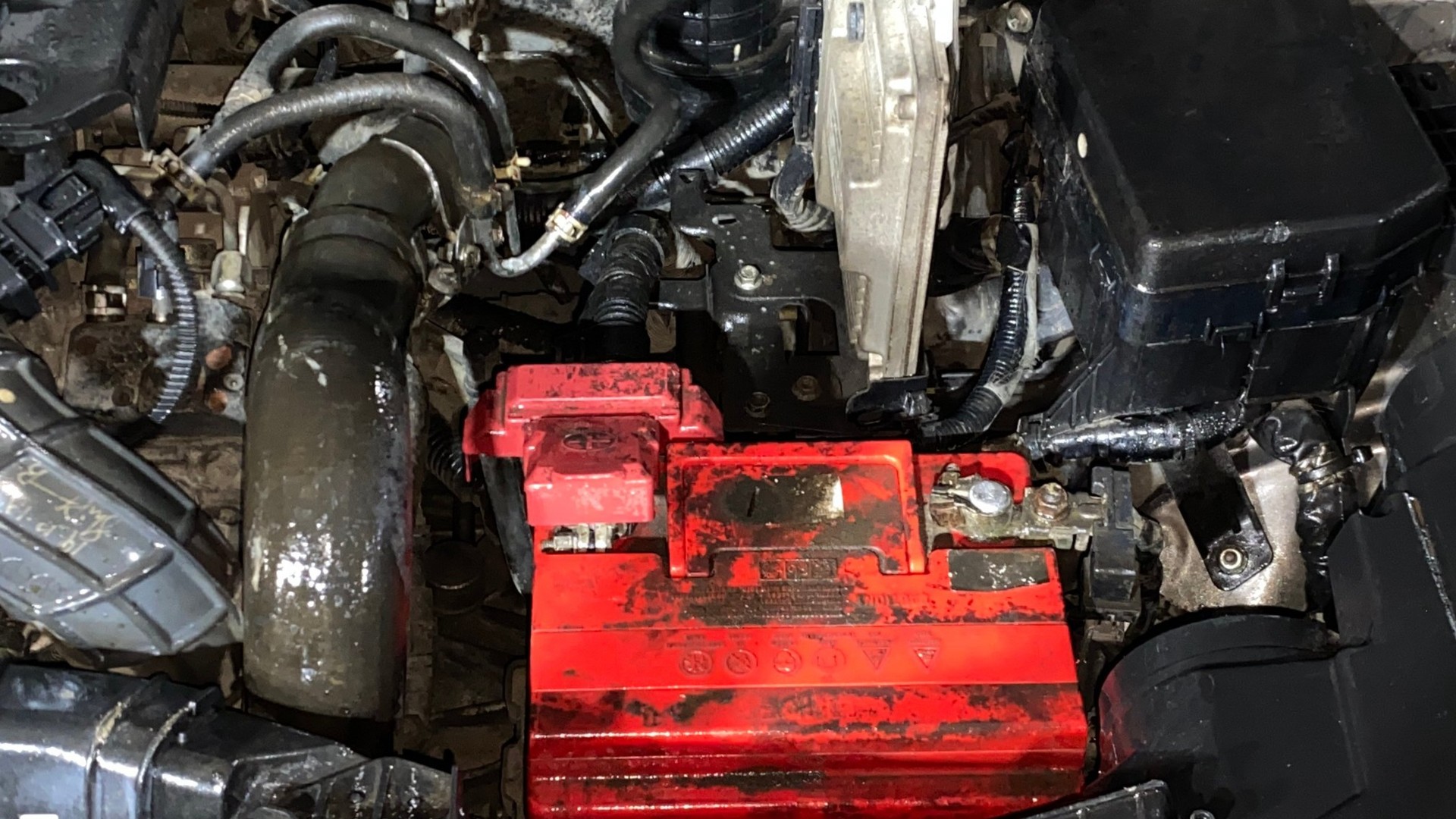 View 2019 Maruti Suzuki 1000 Base Variant Image 13 Used 2019 Maruti Suzuki 1000 Base Variant Image 13