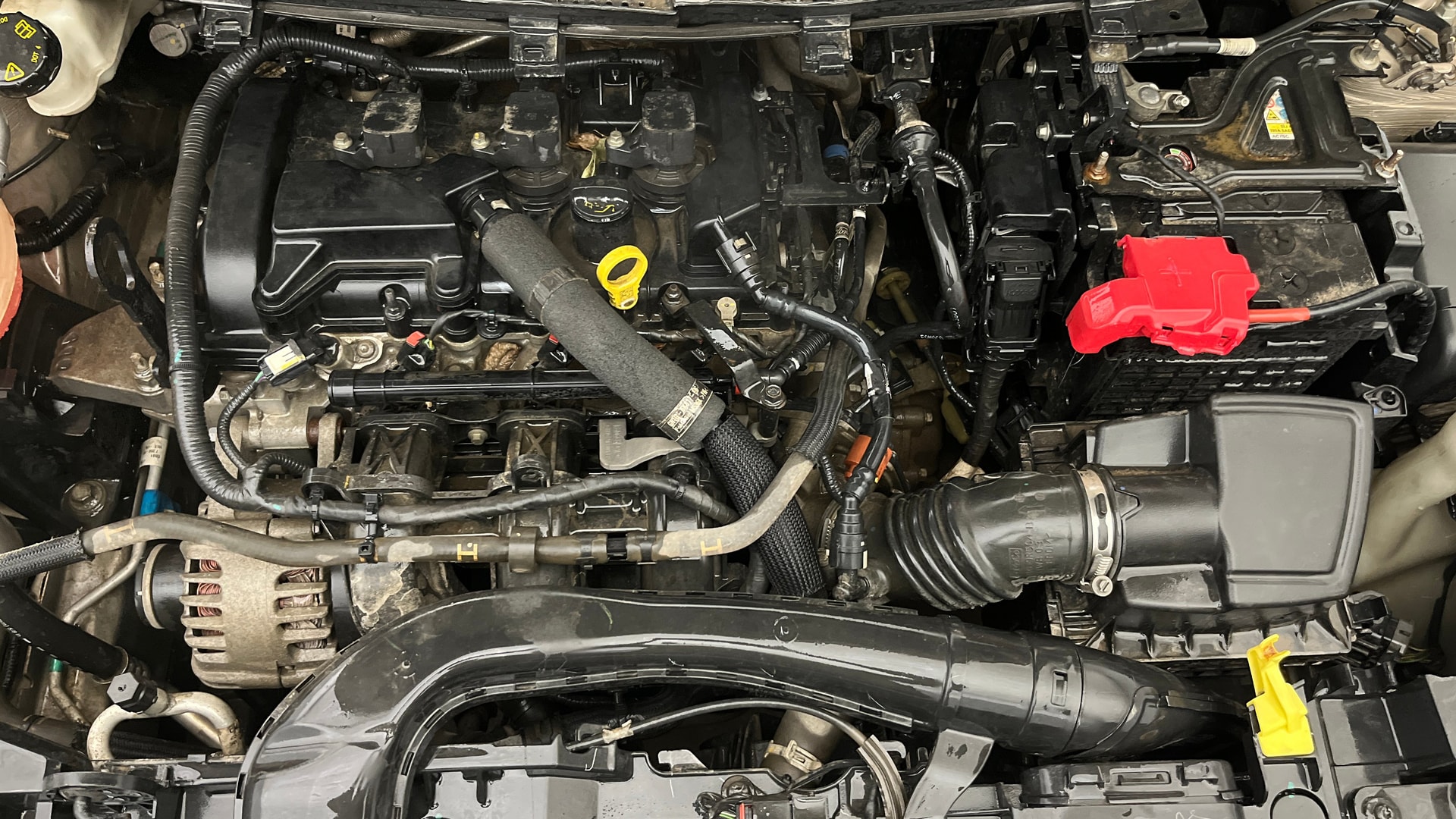 Used 2019 Ford Freestyle Used 2019 Ford Freestyle