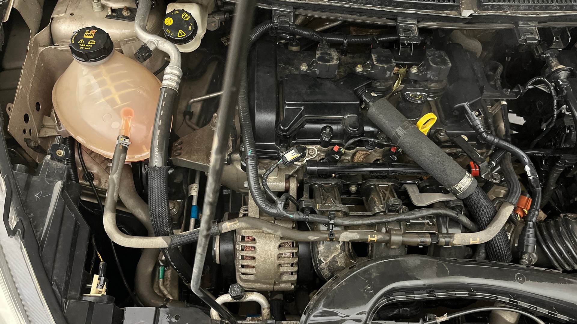 Used 2019 Ford Freestyle Used 2019 Ford Freestyle