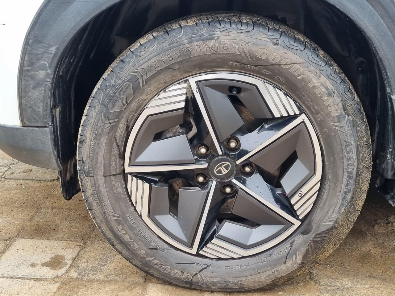 यूज़्ड 2024 टाटा नेक्सन, Gurgaon Sector 45, Gurgaon 8 यूज़्ड 2024 टाटा नेक्सन, Gurgaon Sector 45, Gurgaon 8