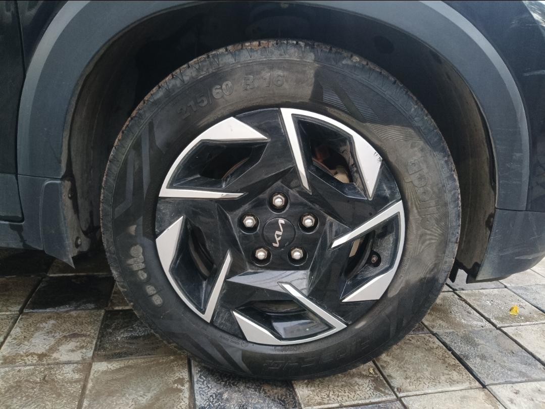 यूज़्ड 2025 किया सॉनेट, Vijay Nagar, Indore 8 यूज़्ड 2025 किया सॉनेट, Vijay Nagar, Indore 8