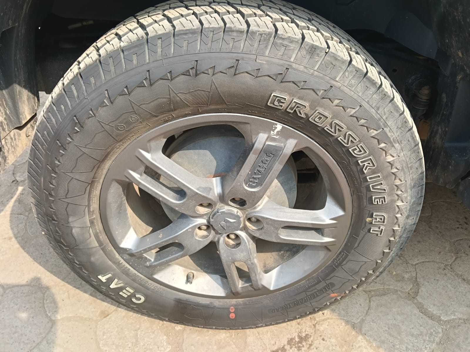 Thar image 7 Thar image 7